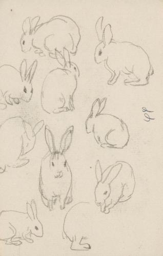 『未知草カード』第三より「四十四、うさぎ」