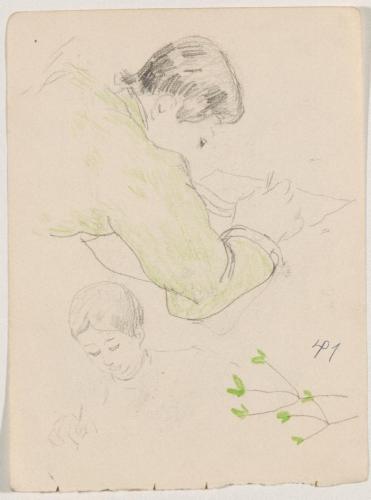 『未知草カード』[第五]より41［画学生］