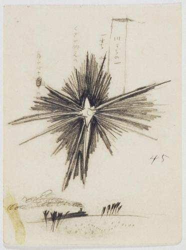 『未知草カード』[第五]より45［星］