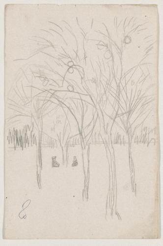 『未知草カード』第四より「八、クワリンの実」