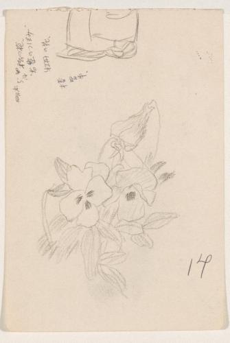 『未知草カード』第四より「十四、三色すみれ」