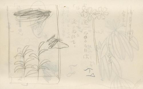 『未知草カード』第四より「五十七、さくらさう」