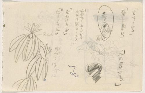 『未知草カード』第四より「五十八、ゆづり葉」