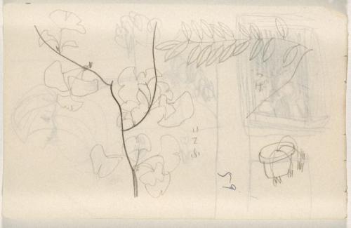 『未知草カード』第四より「五十九、つげと、いてふの芽」