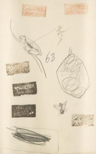 『未知草カード』第四より「六十三、青がへると、あぶ」