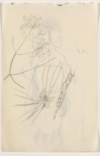 『未知草カード』第四より「六十六、どうだんつつぢと松の花」