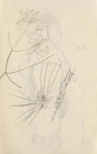 『未知草カード』第四より「六十六、どうだんつつぢと松の花」