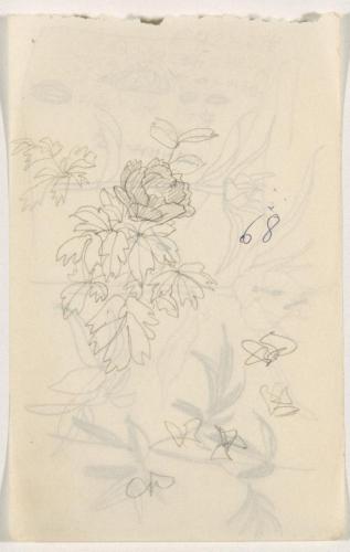 『未知草カード』第四より「六十八、ぼたんと蝶」