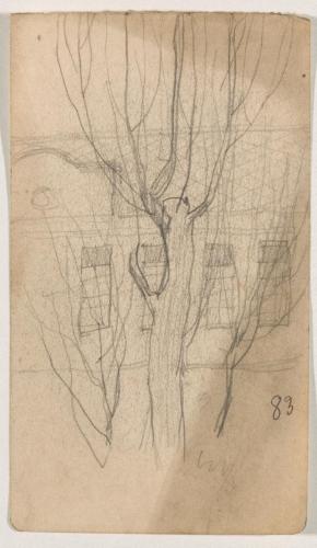 『未知草カード』第四より「八十三、「孝」の家のいてふと、学校」