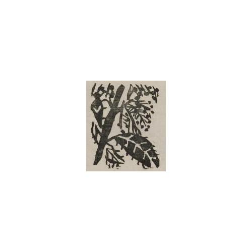 雑誌『白と黒』（第３次）第1年第5号1「栗花」