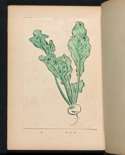 『風』再刊1 所収版画 11点 5 蕪