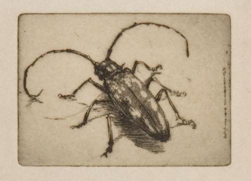 版画誌『九州版画』第20号8「かみ切蟲」