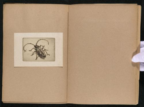 版画誌『九州版画』第20号8「かみ切蟲」