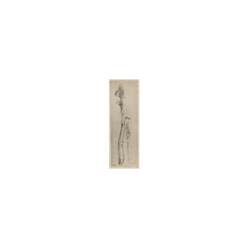 版画誌『九州版画』第22号10「芽」