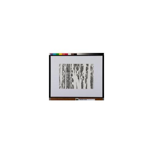 作品