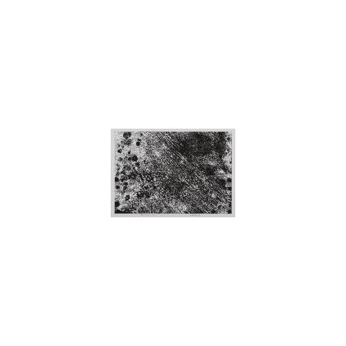 作品
