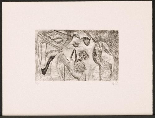 版画集『瑛九・銅版画 SCALE III』 37 湖の花