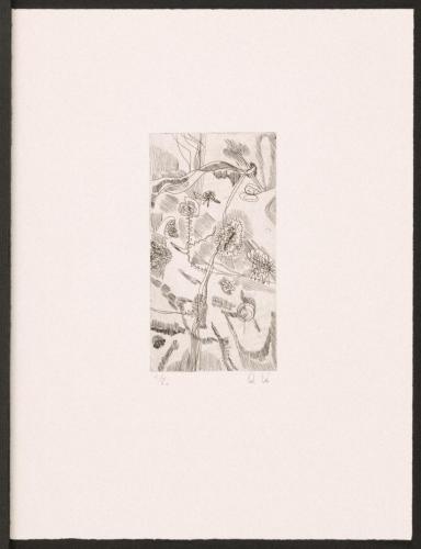版画集『瑛九・銅版画 SCALE V』 46 花畑