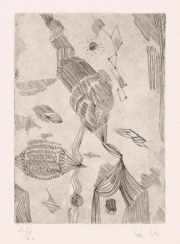 版画集『瑛九・銅版画 SCALE V』 52 虫