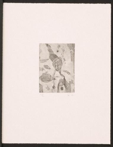 版画集『瑛九・銅版画 SCALE V』 52 虫