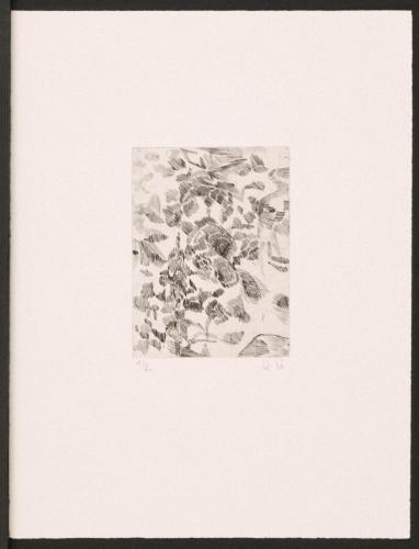 版画集『瑛九・銅版画 SCALE V』 62 氷河