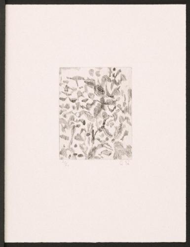 版画集『瑛九・銅版画 SCALE V』 63 花束