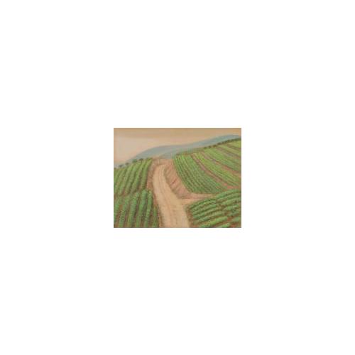 紀伊百景画帖「岩代附近」