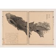 東京百景第二集18怪魚圖