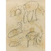 『ホクト』第一年第一号9［鹿］ デッサン