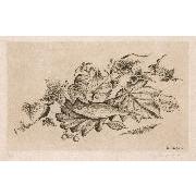 木の葉の上の魚（鮒）