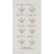 Post War 75 広島の種子 1 シマトネリコ