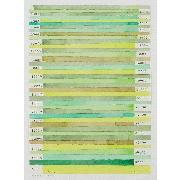 地下時間 （植物−２）