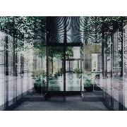 Reflections - with potted plants