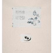 untitled (harvested, fruit. fig)