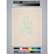 Silkscreen Drawing 2