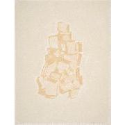 Silkscreen Drawing 2