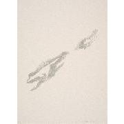 Silkscreen Drawing 4