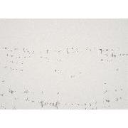 Stripe Drawing Book - 地中から木もれ日へ