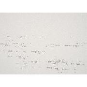 Stripe Drawing Book - 地中から木もれ日へ