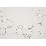 Stripe Drawing Book - 地中から木もれ日へ