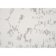 Stripe Drawing Book - 地中から木もれ日へ