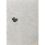 Surface is the Between — Between Vertical and Horizon — "Paper Between a Snowed Stone and Road"