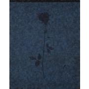 Painted Echo Rose No.3