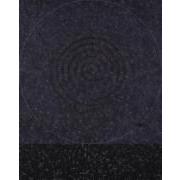 Painted Echo Rose SPIRAL IN WELL