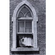 「王国」より　沈黙の園