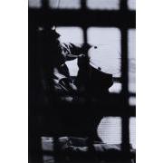 「王国」より　壁の中