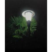 The Light with the Palm Leaves (Source of Light 14-3)