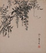 色紙　藤