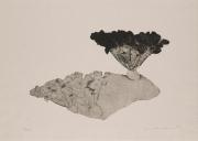 大地から（「剥奪されたもの」シリーズ）