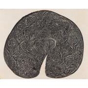 詩画集『卵』より　9.伐り倒された・・・